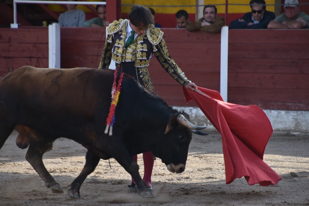 Imagen 9