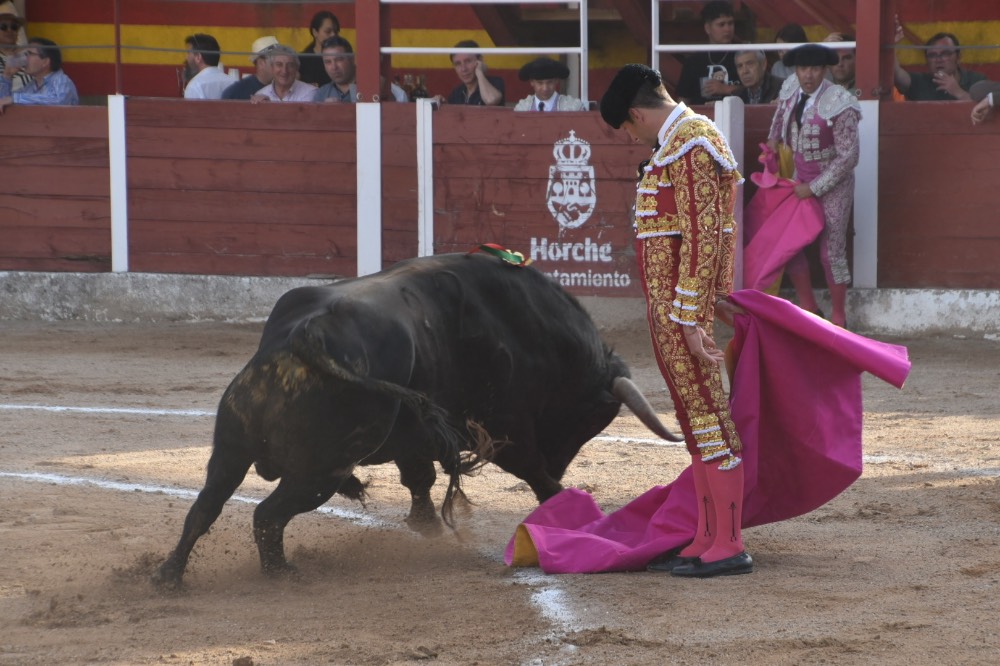 Imagen 10
