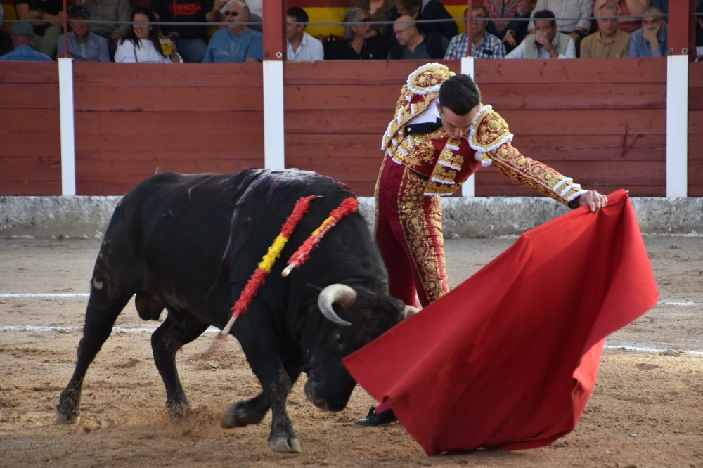 Imagen 11