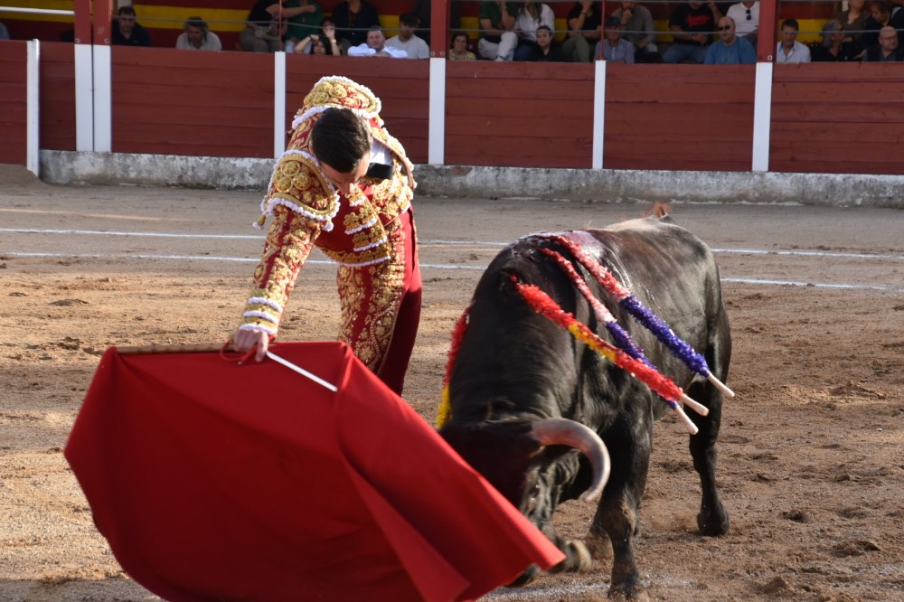 Imagen 12