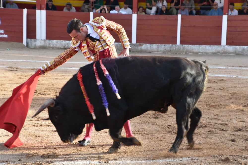 Imagen 13