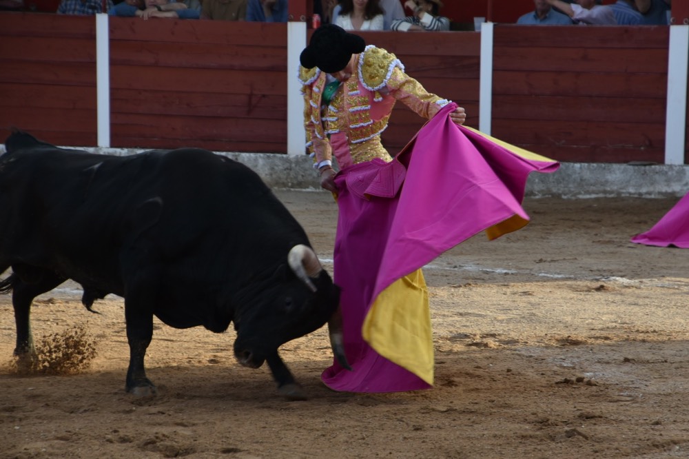 Imagen 15