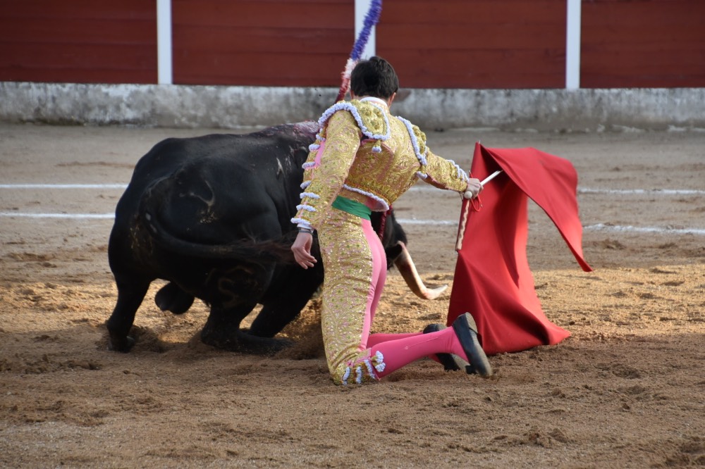 Imagen 16