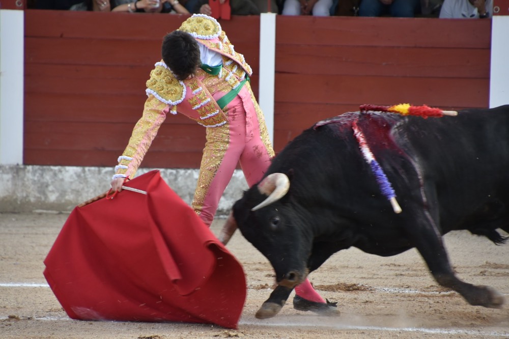 Imagen 17