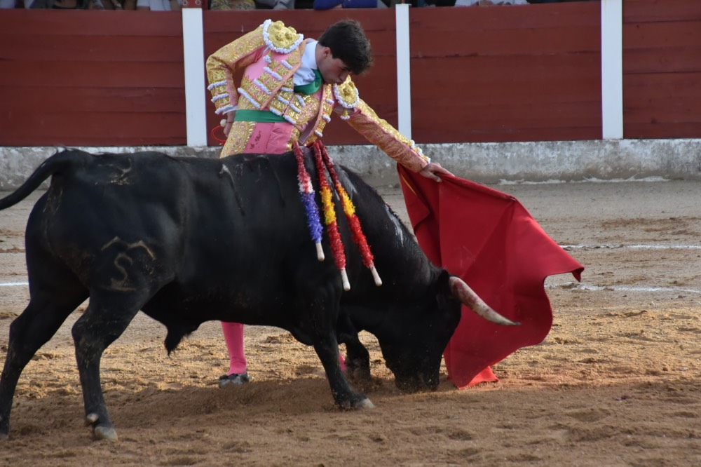 Imagen 18