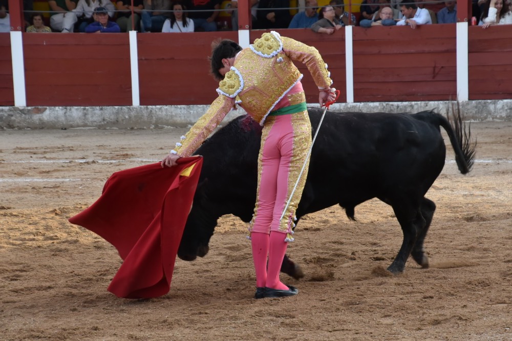 Imagen 19