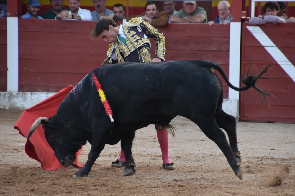 Imagen 21