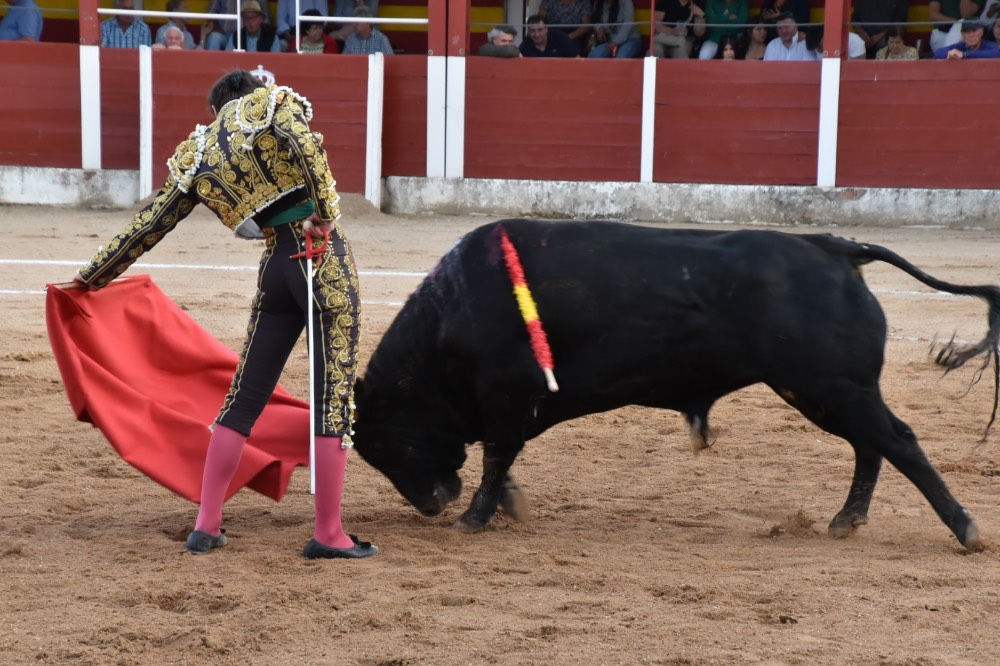 Imagen 22