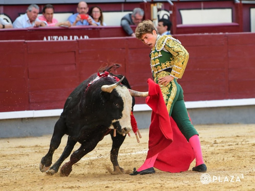 Imagen 3