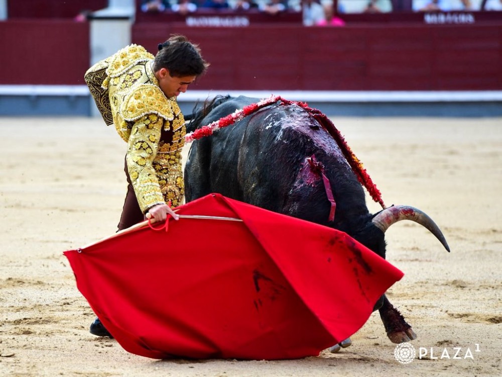 Imagen 4