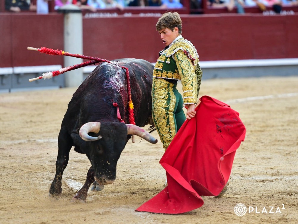 Imagen 5