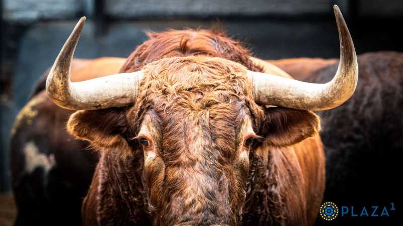 De niñito a niñito los toros de la Goyesca en las Ventas
