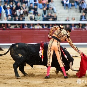 Uceda Leal