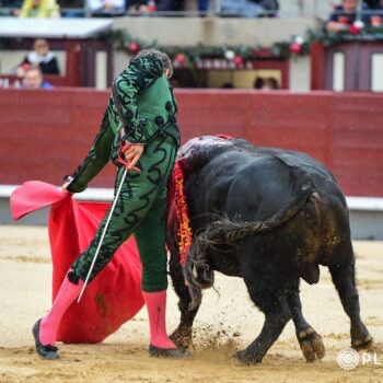 Manuel Jesús “El Cid”
