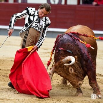 Javier Cortés 