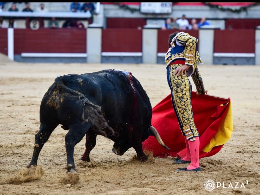 Imagen 1