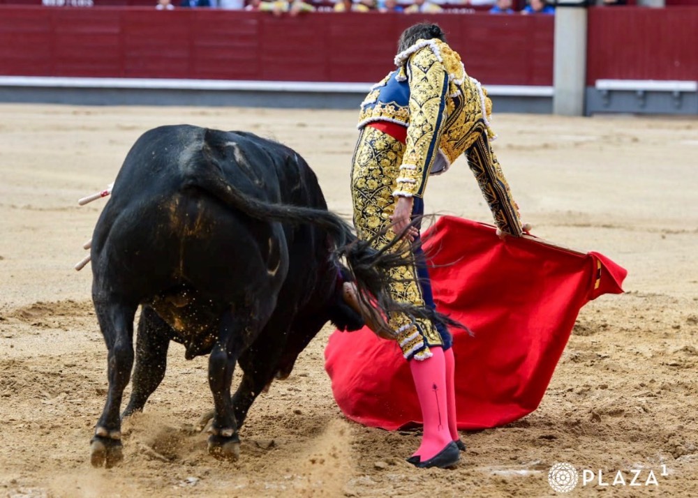 Imagen 2