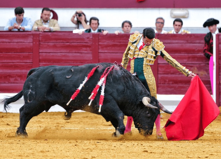 Imagen 1