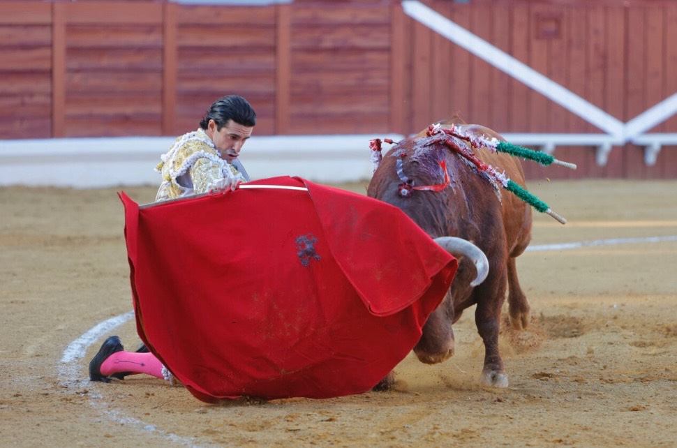 Imagen 2