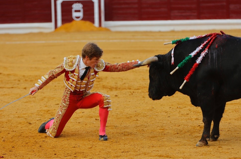Imagen 3