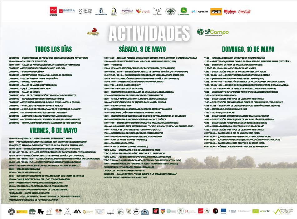 Imagen 2
