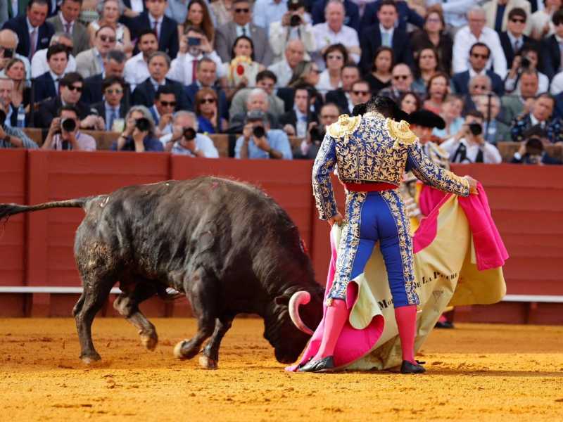Convocados los premios de estudio e investigación sobre Tauromaquia en Castilla y León