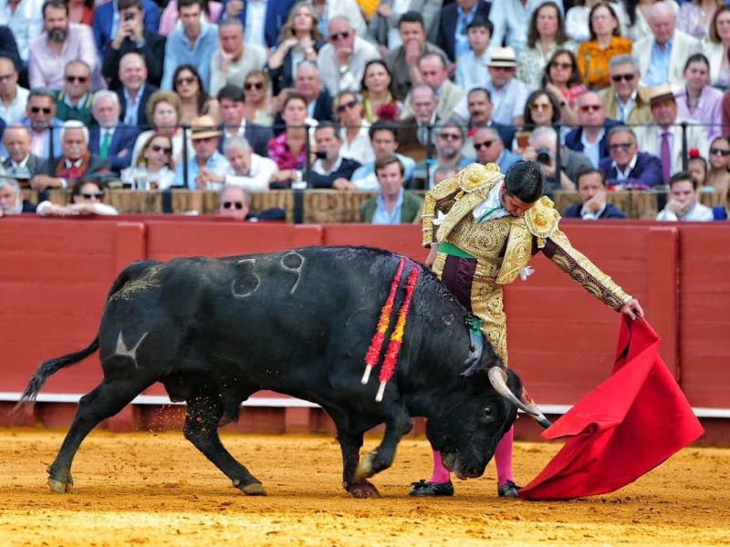Morante de la Puebla aplaza su regreso y no toreará este domingo en Valladolid