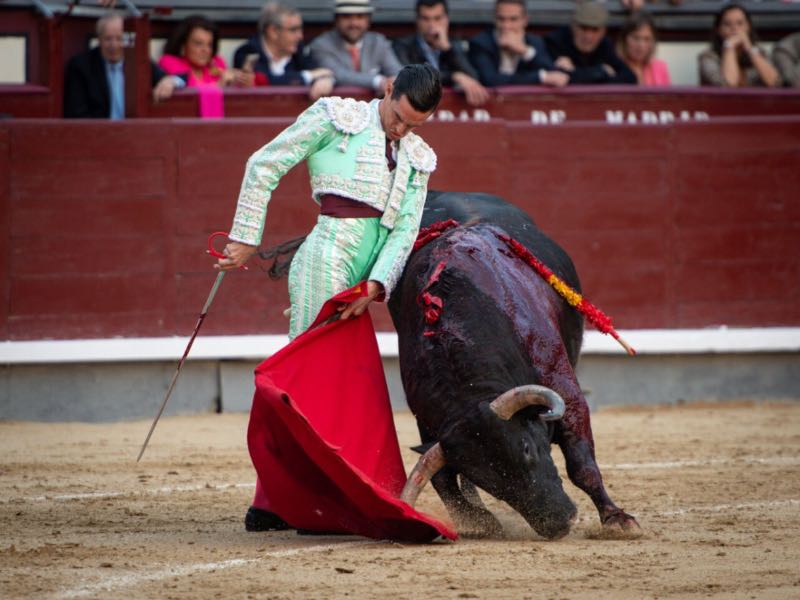 David Galván regresa a Las Ventas: la plaza donde cambió el rumbo de su carrera
