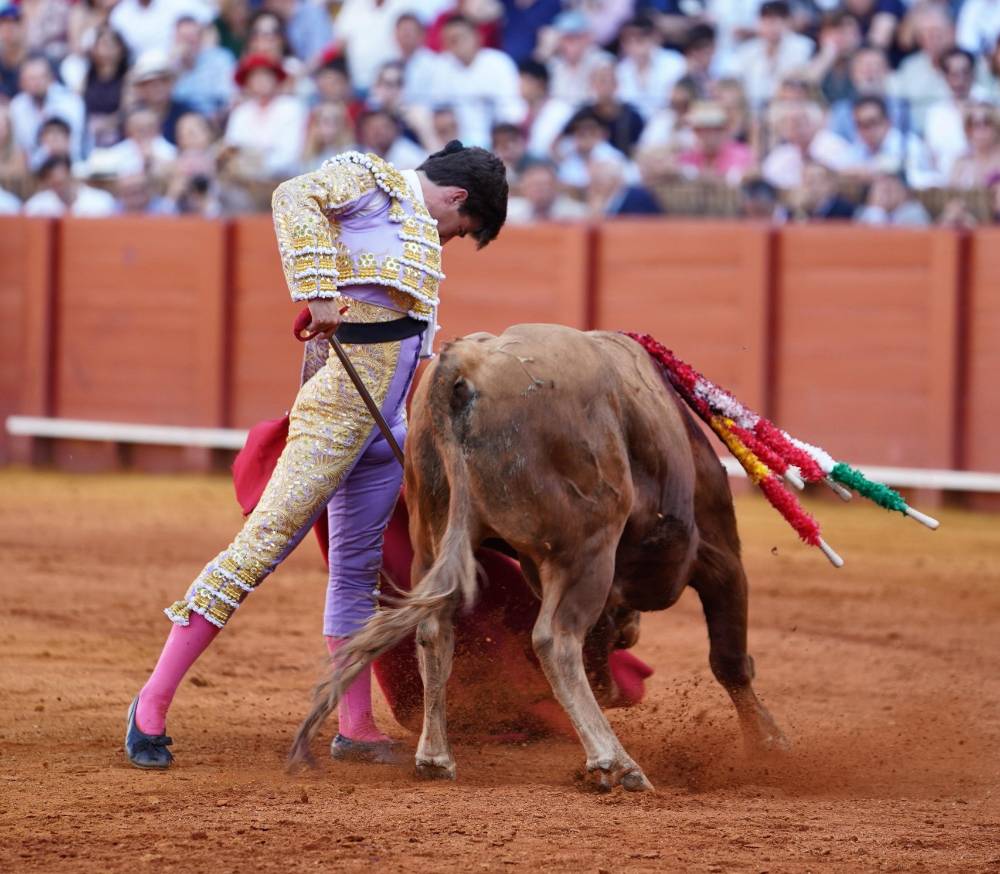 Imagen 6