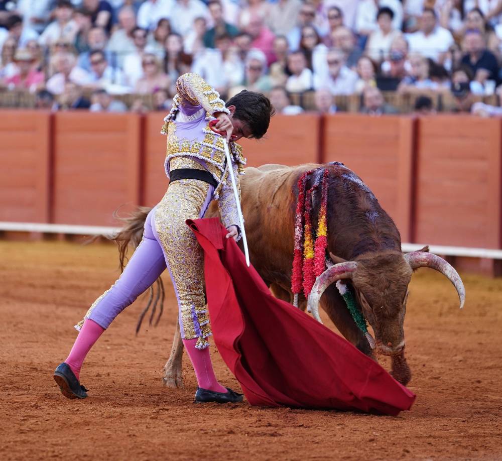 Imagen 7