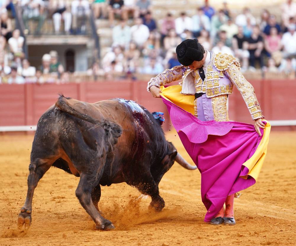 Imagen 8