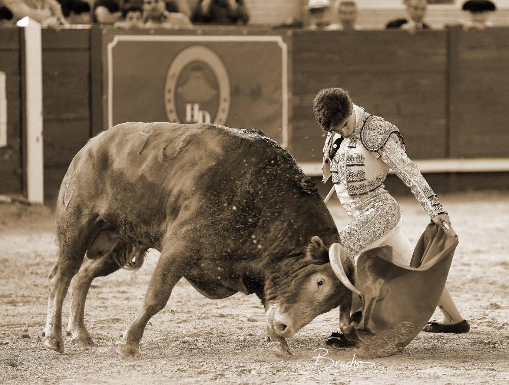 Imagen 9