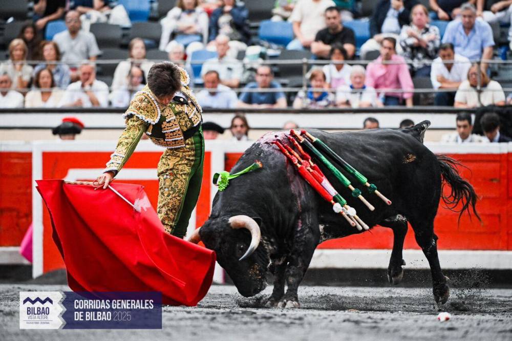 Imagen 11