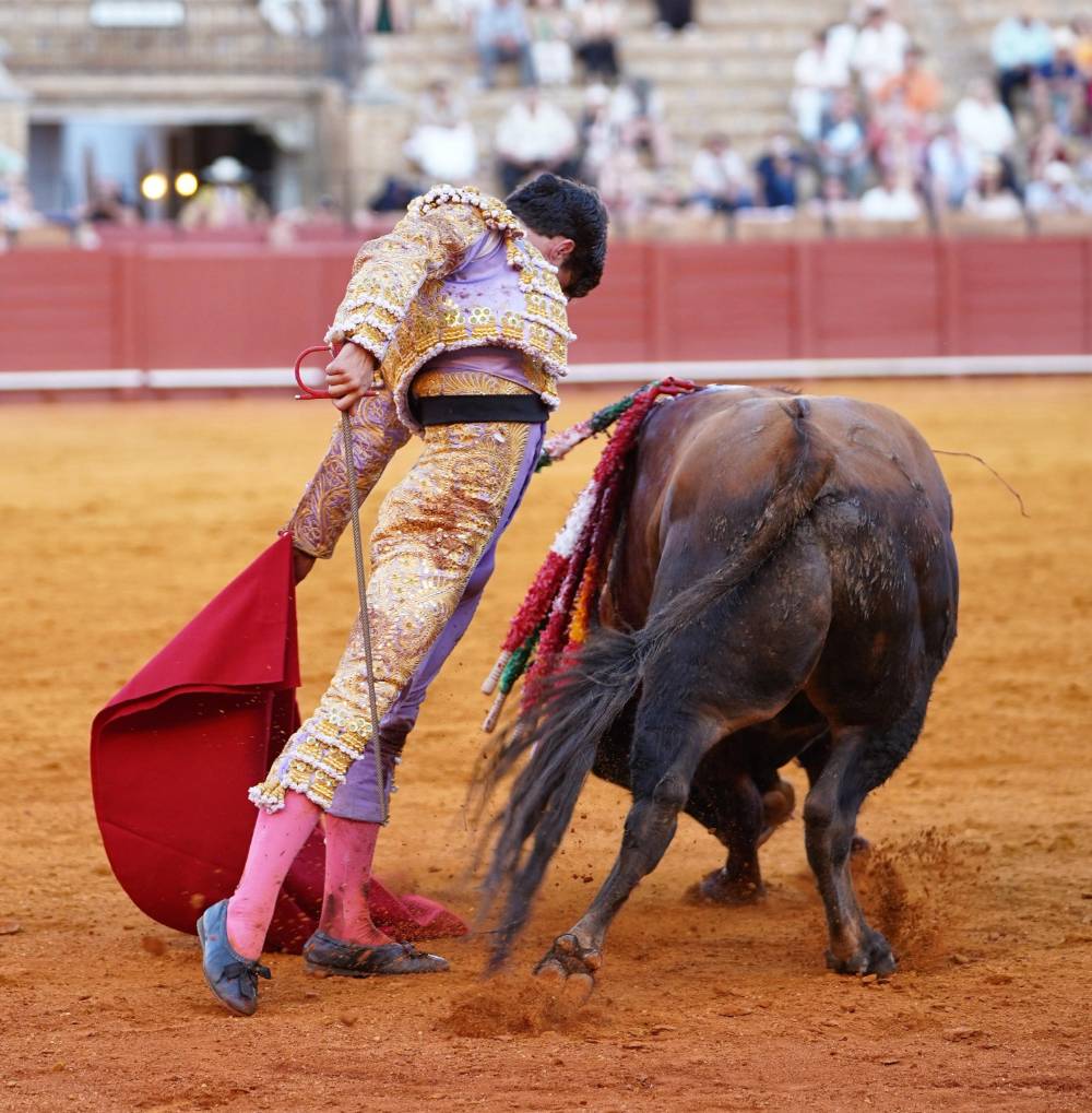 Imagen 12