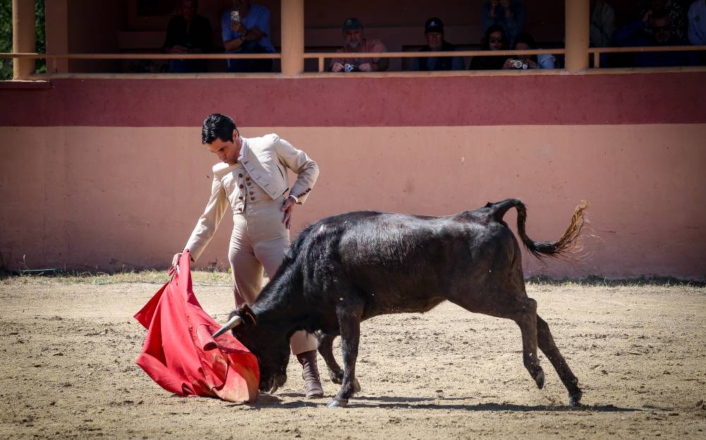 Imagen 7