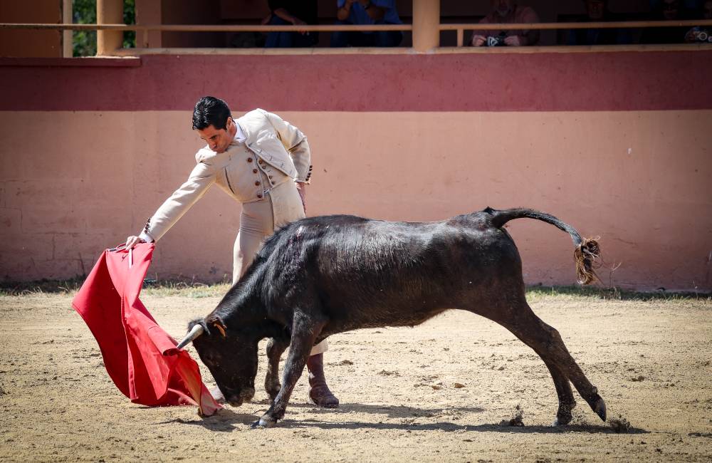 Imagen 8