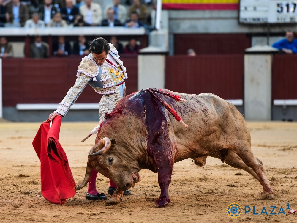 Imagen 1
