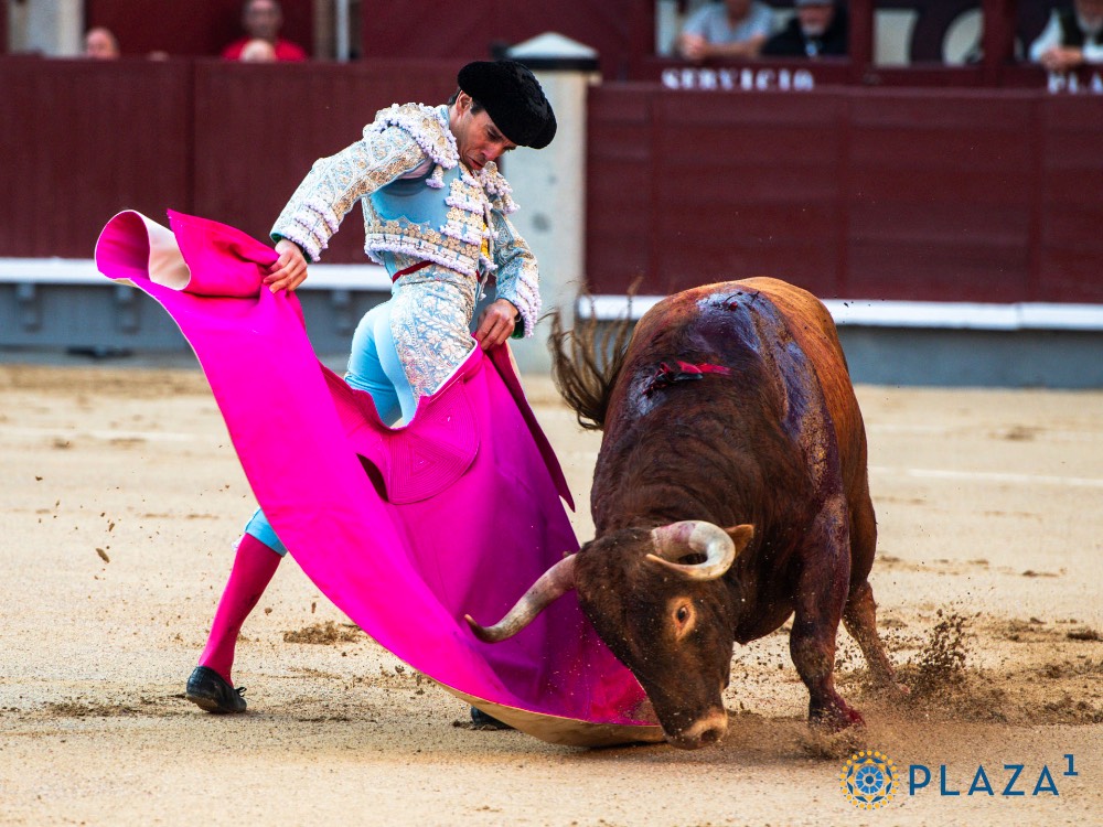 Imagen 5