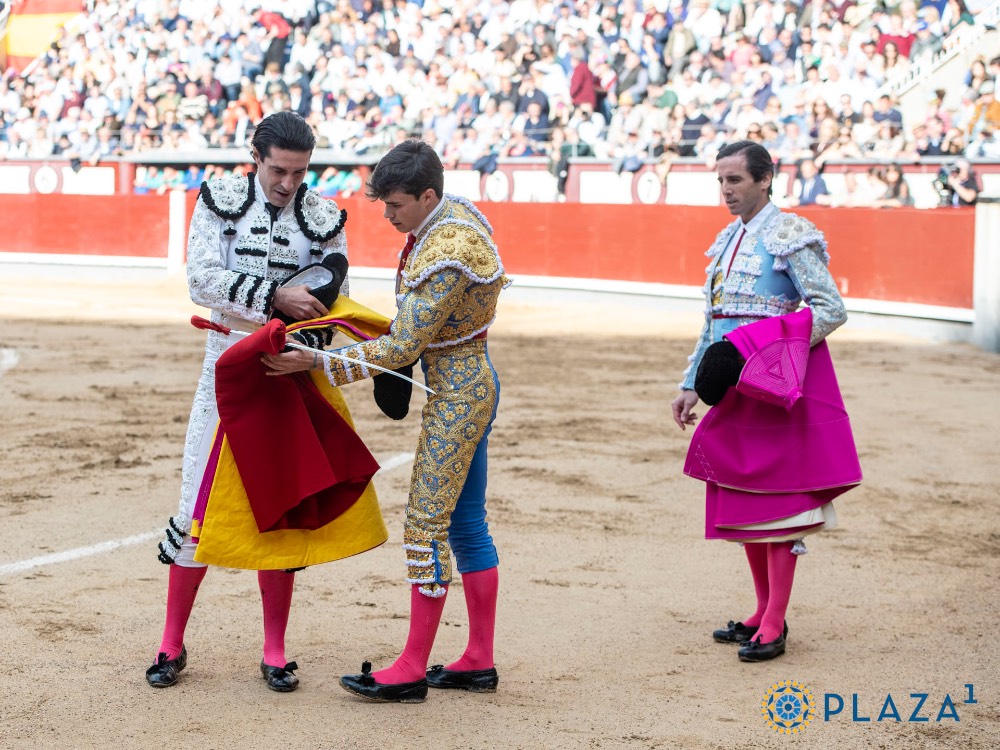 Imagen 6