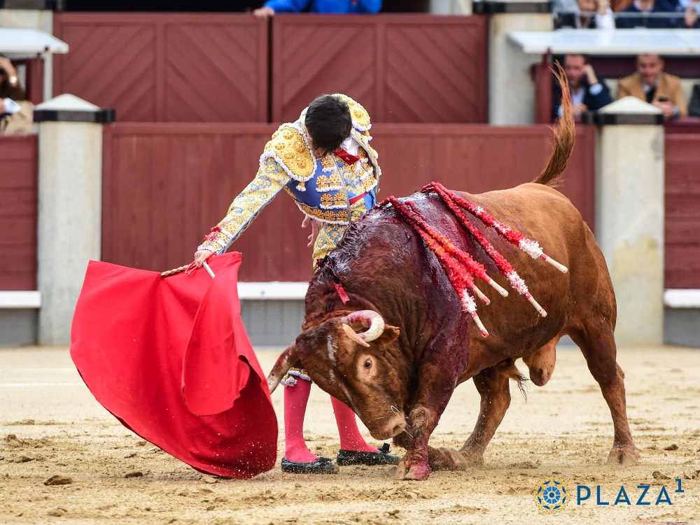Imagen 7