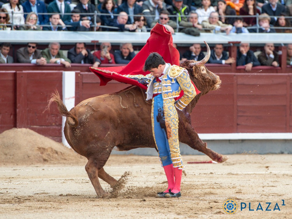 Imagen 8