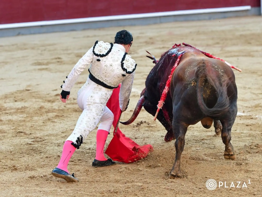 Imagen 1