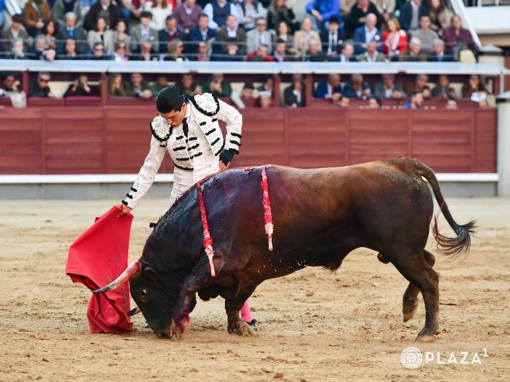 Imagen 2