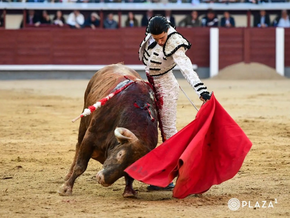 Imagen 3