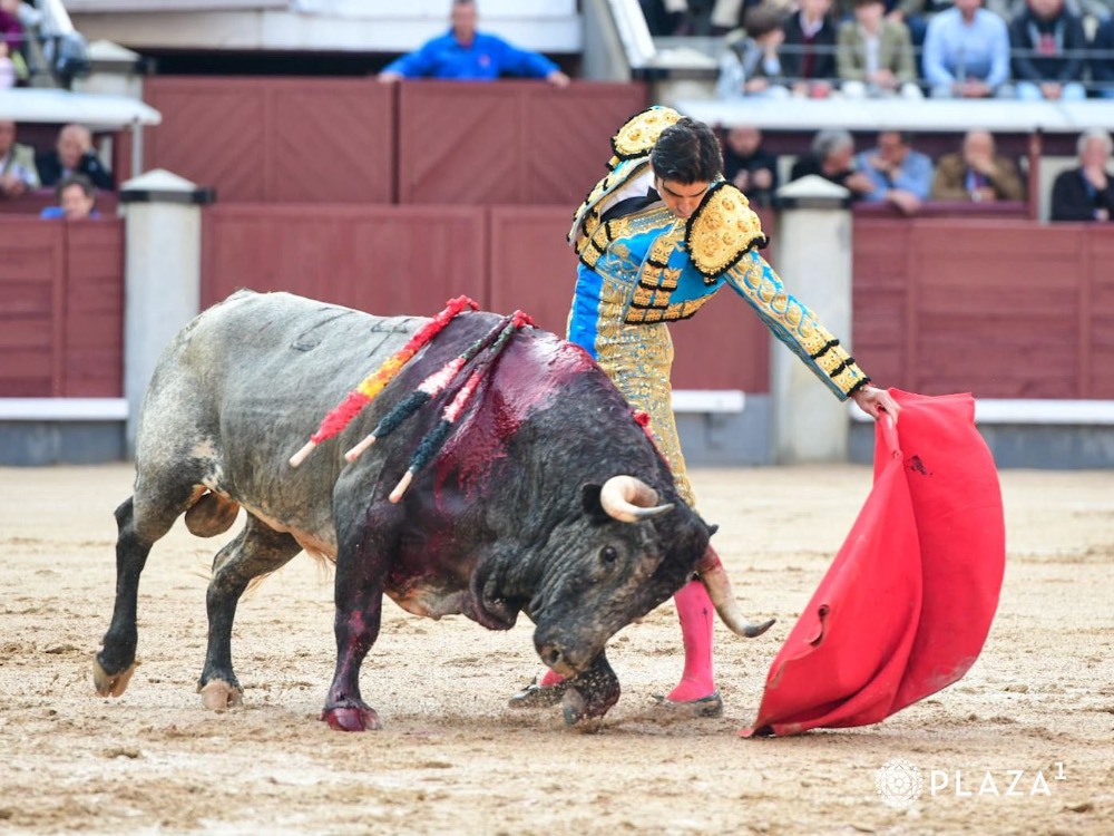 Imagen 1