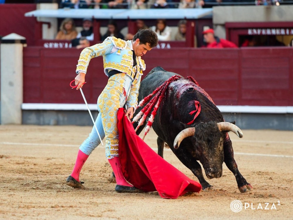Imagen 2