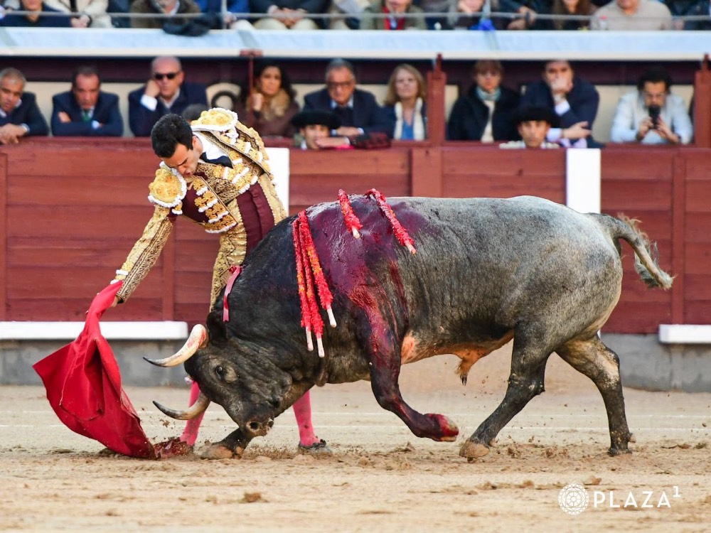 Imagen 3