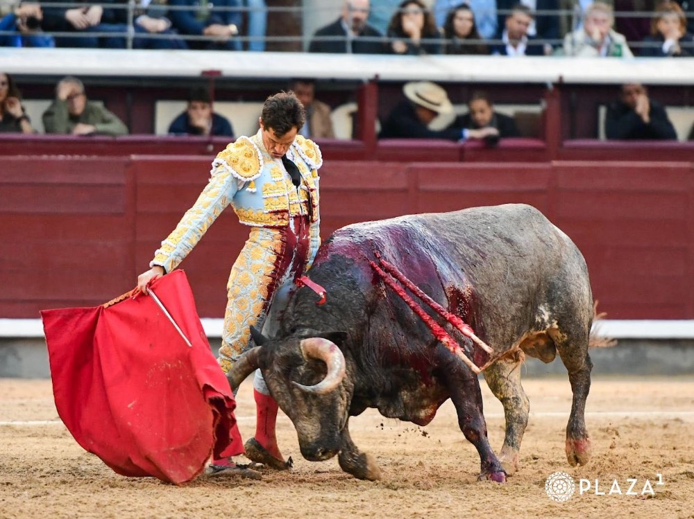 Imagen 6