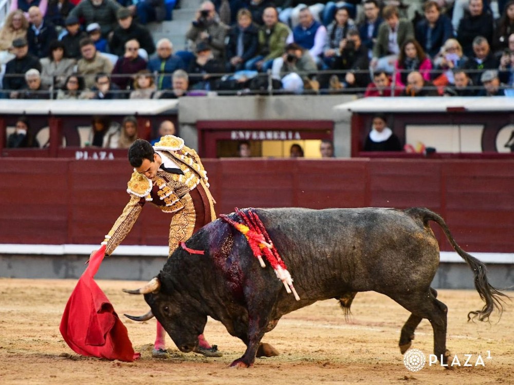 Imagen 7