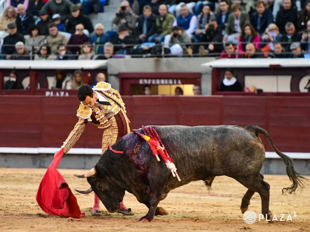 Imagen 1